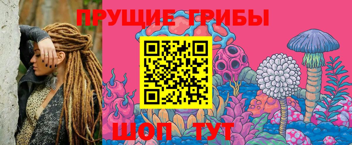 Каменка  Галлюциногенные грибы мицелий  Вход с VPN 